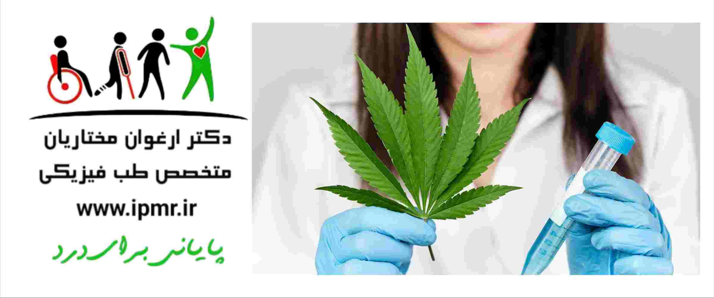 اثر درمانی گیاه شاه دانه یا کانابیس